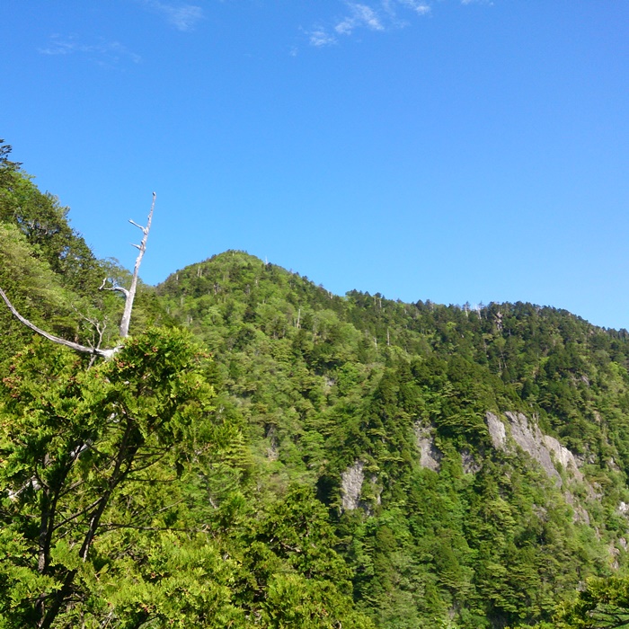 和佐又スキー場から見上げる日本岳と岩壁