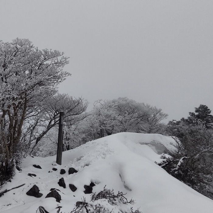 小普賢付近の鉄橋、積雪少なし