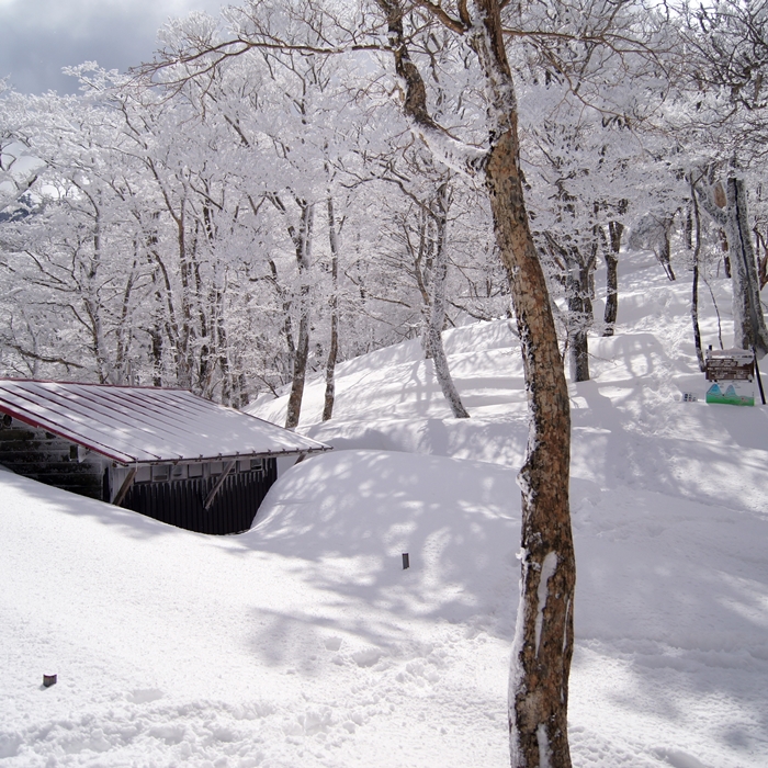 大雪の時の稲村小屋