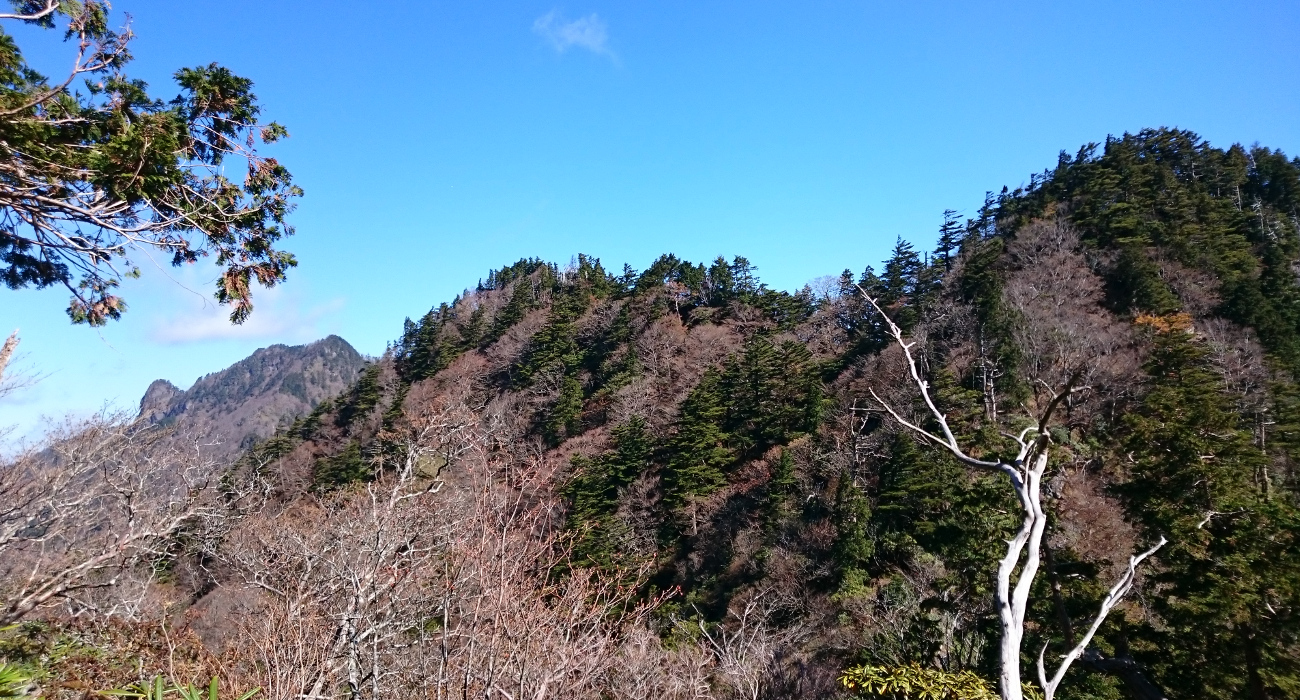 山の風景