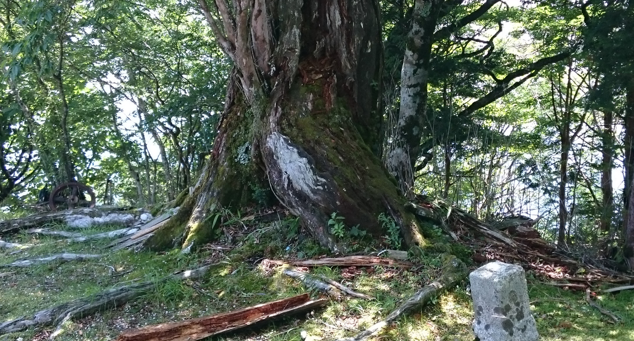 山の風景