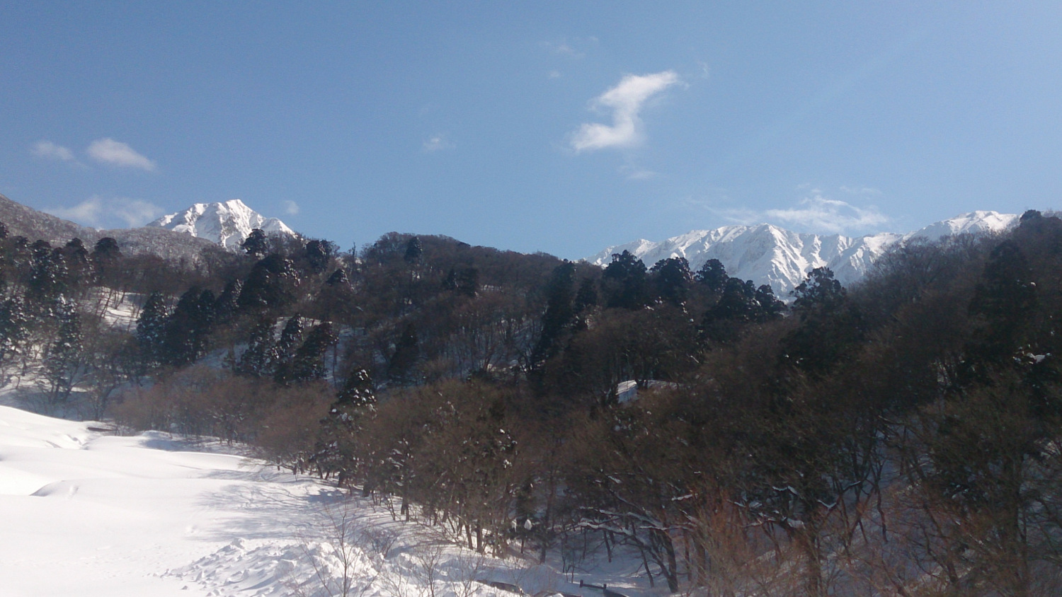 下山して町中から見上げる大山