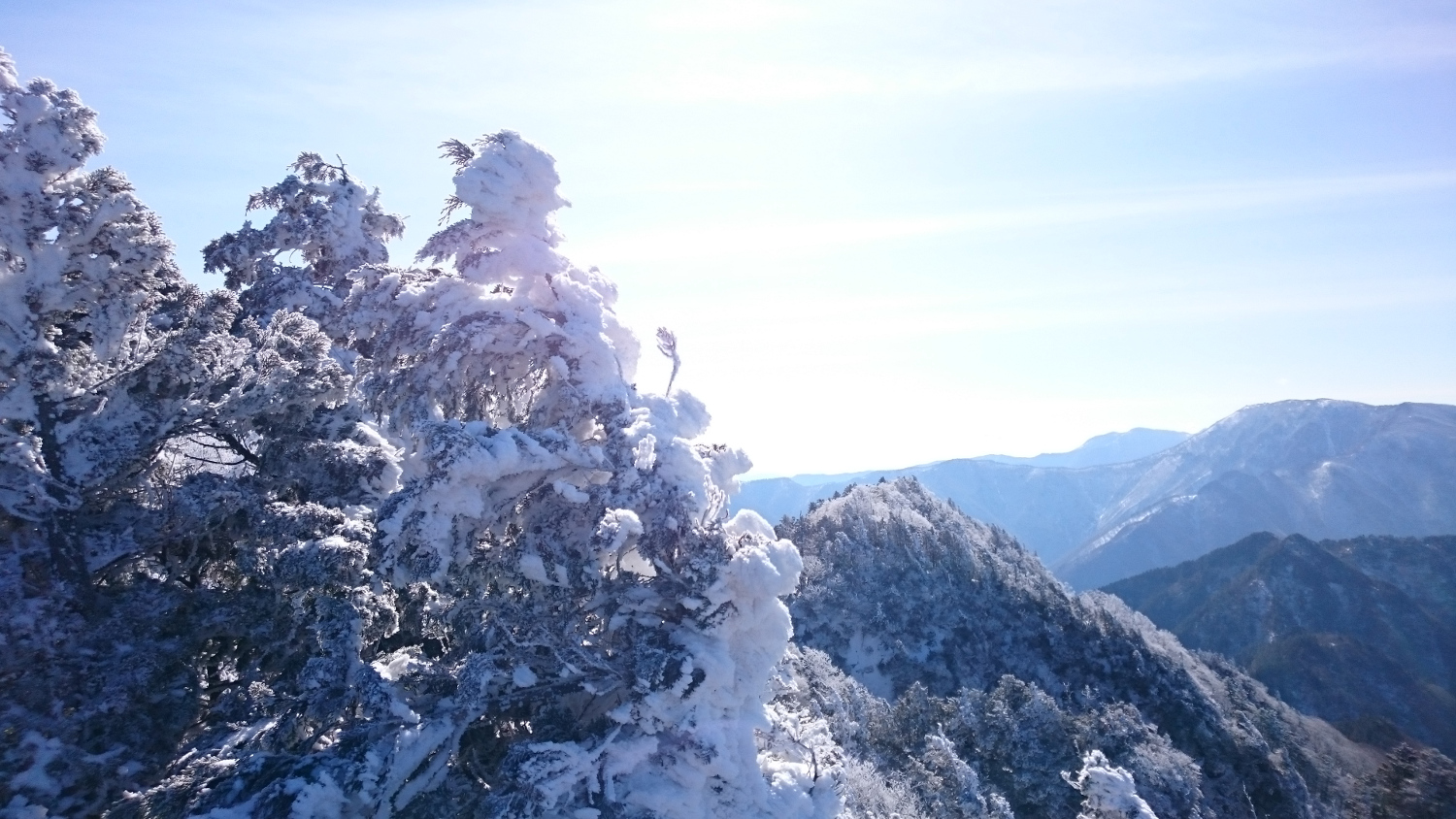 山頂部周辺の霧氷、いくら暖冬でも標高1,700m付近であればこのくらいの霧氷