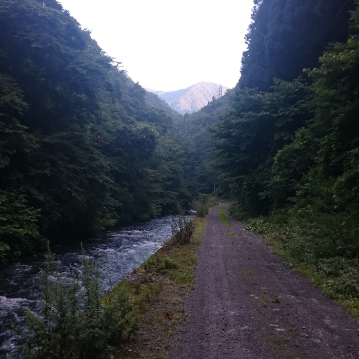 島々谷沿いの林道、序盤