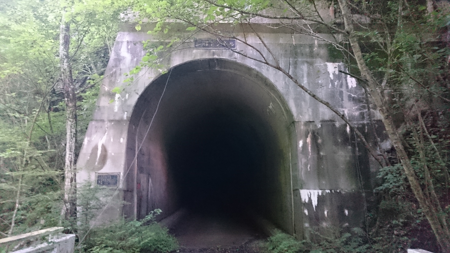 島々谷の二股トンネル