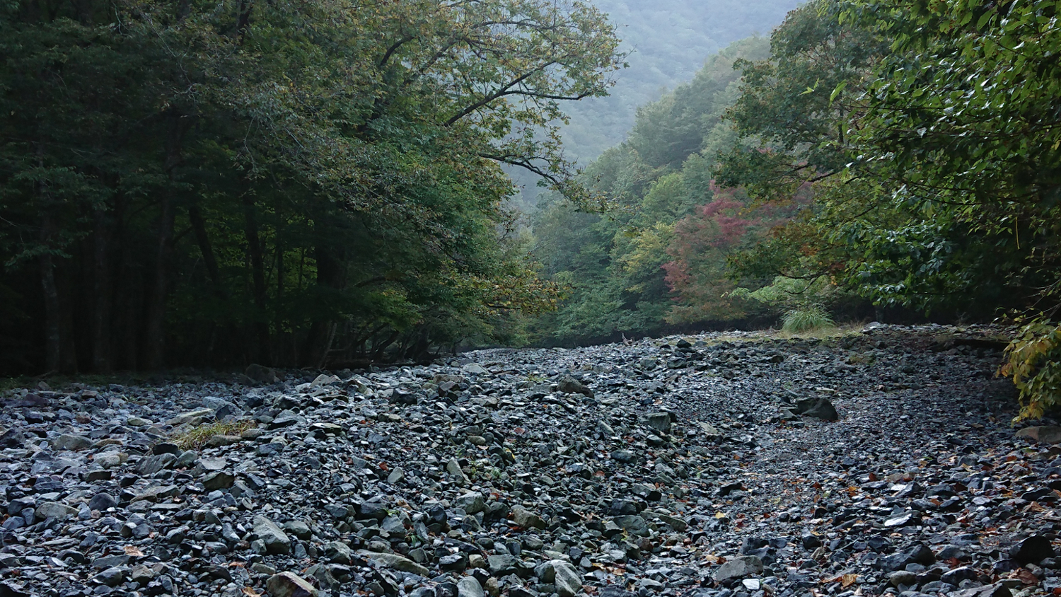 朝露で濡れる河原、伏流で流れは見えない