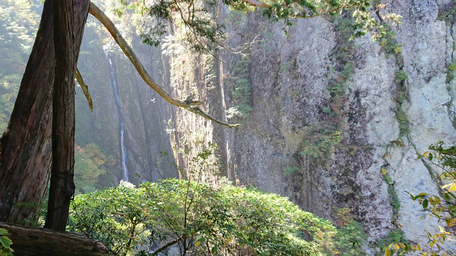 仙人蔵テラスから双門滝