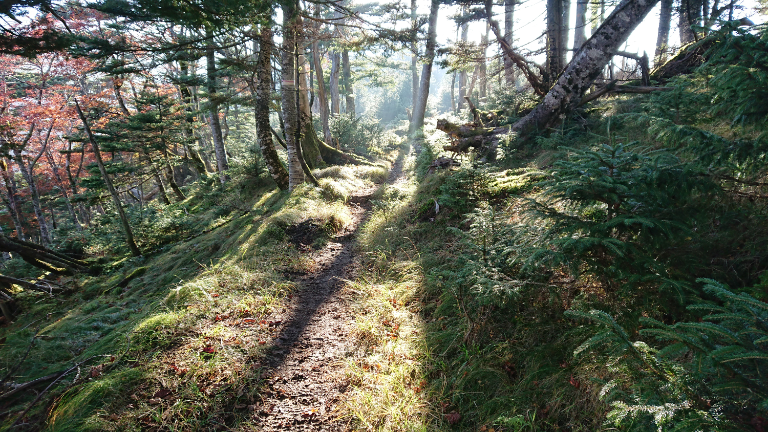 靄を抜ければ快晴