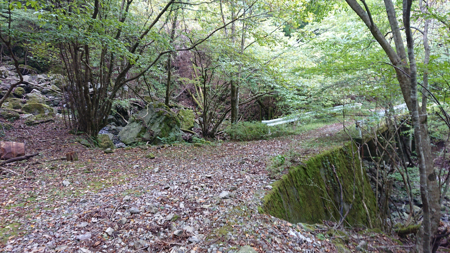 鬱蒼とした雰囲気の金引橋