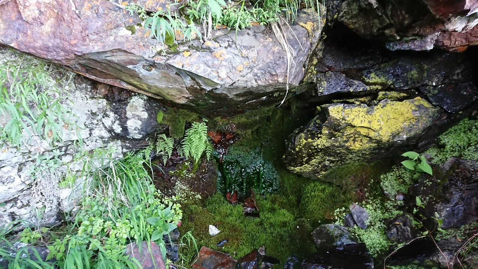 大岩下の岩小屋の水場、良く水が出ている状態でこれ