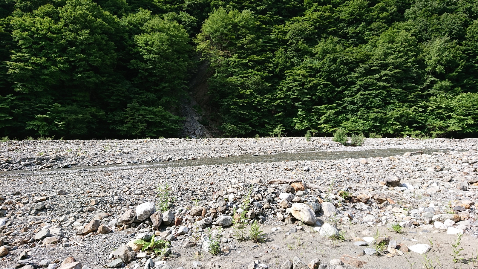 展望堰堤より上部の河原風景