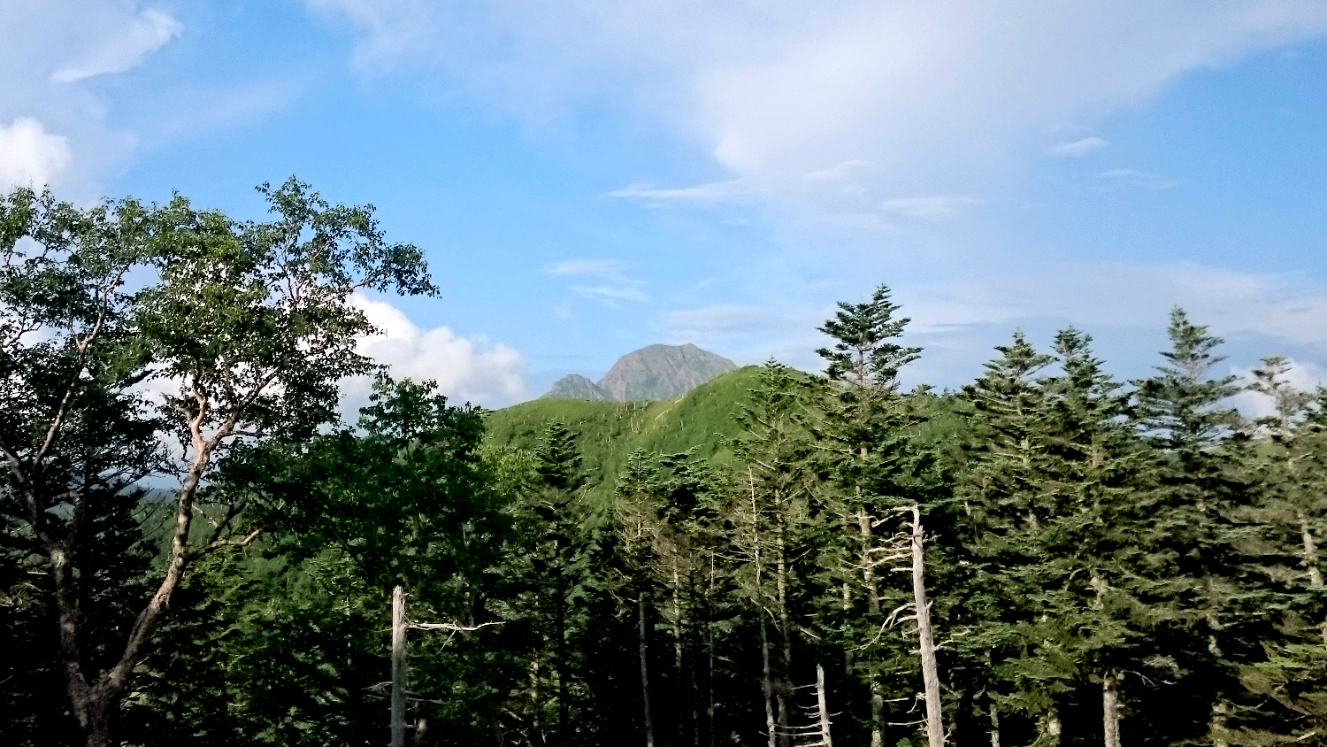 三伏峠小屋テント場から塩見岳