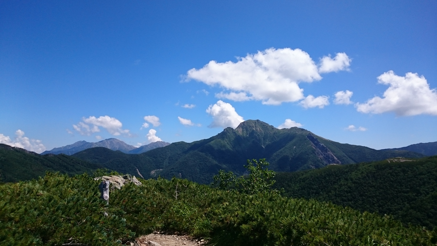 三伏山は開けているので塩見岳が良く見える