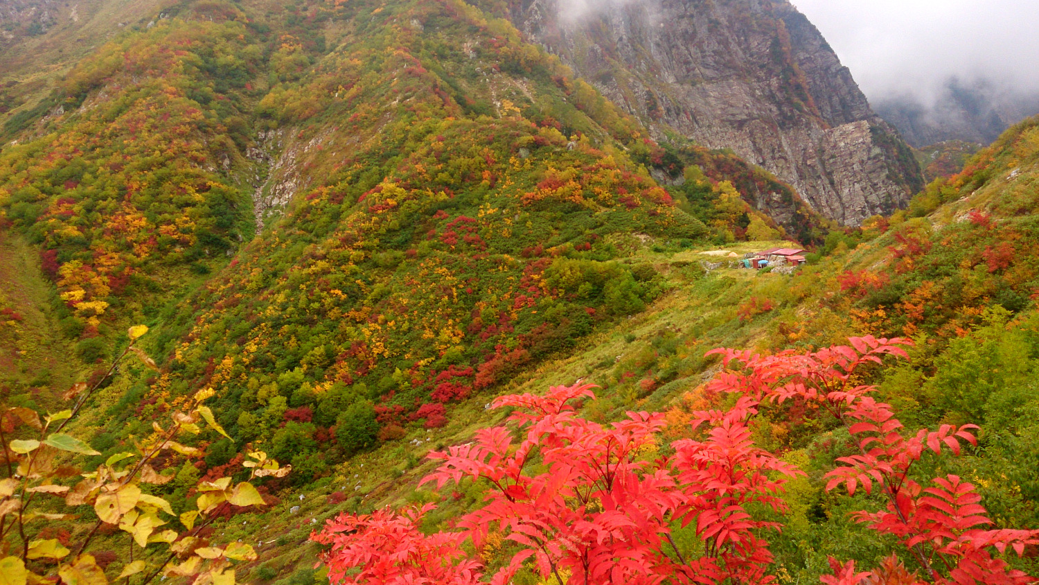 曇天の池の平小屋、やはり紅葉が素晴らしい